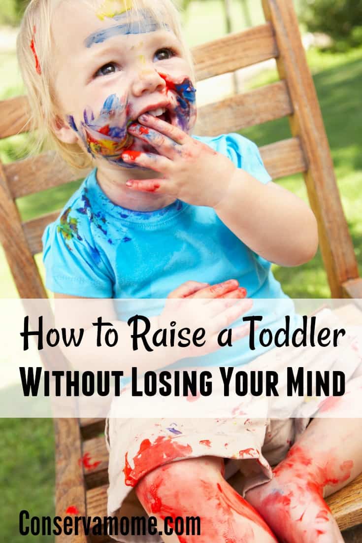 How To Raise A Toddler