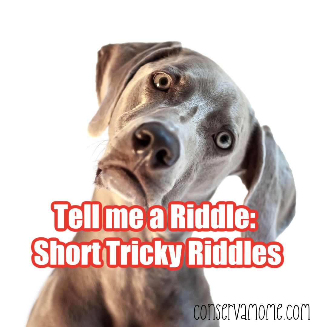 Tell me a Riddle: Short Tricky Riddles - ConservaMom