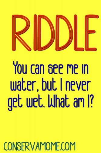 Riddle of the Day - ConservaMom