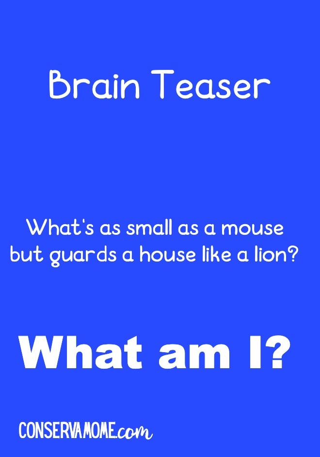 brain teaser