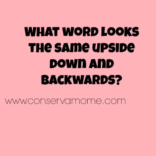 funny words backwards