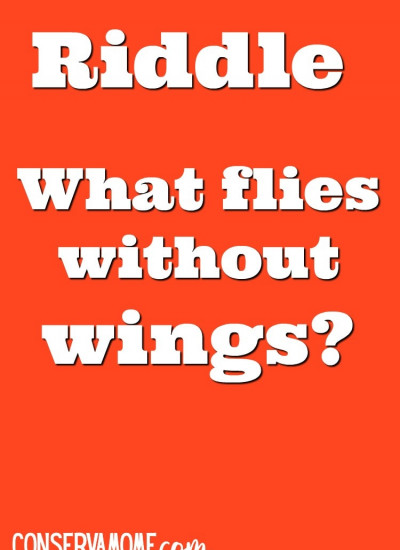 What flies without wings?