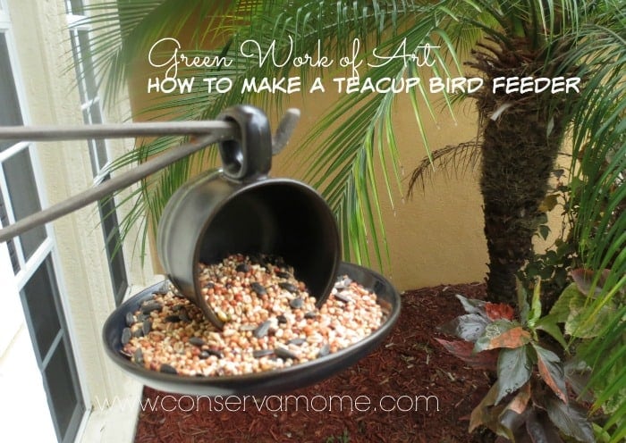 teacup bird feeder