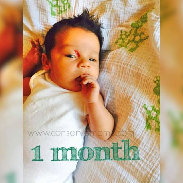 1monthdominic