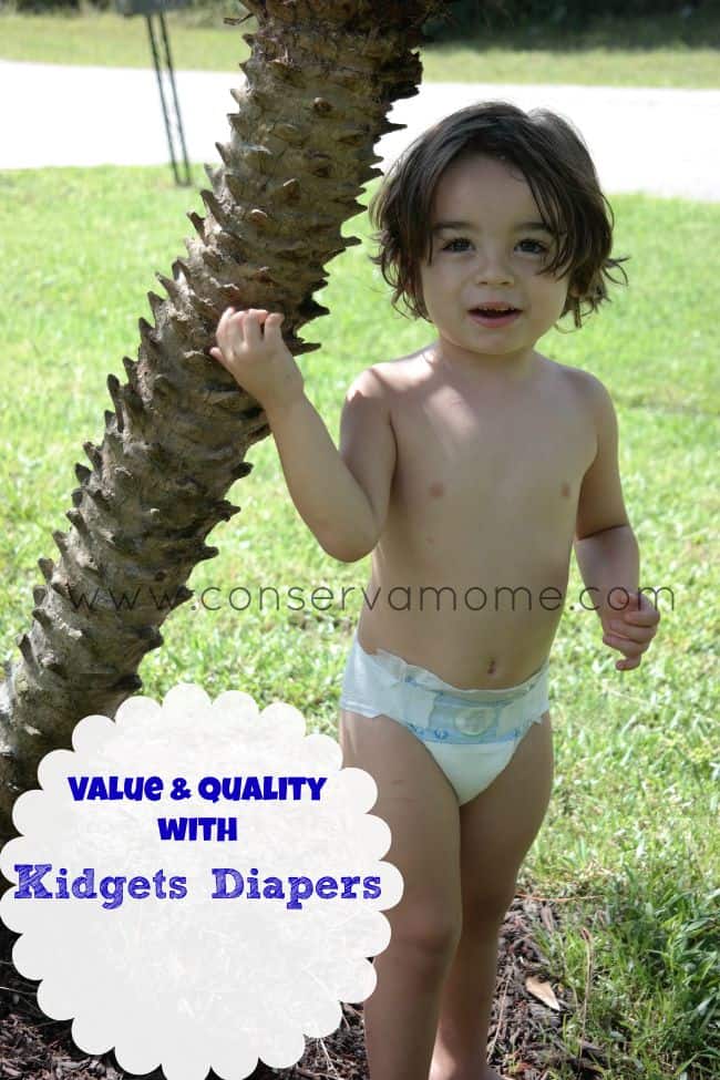 kidgets diapers
