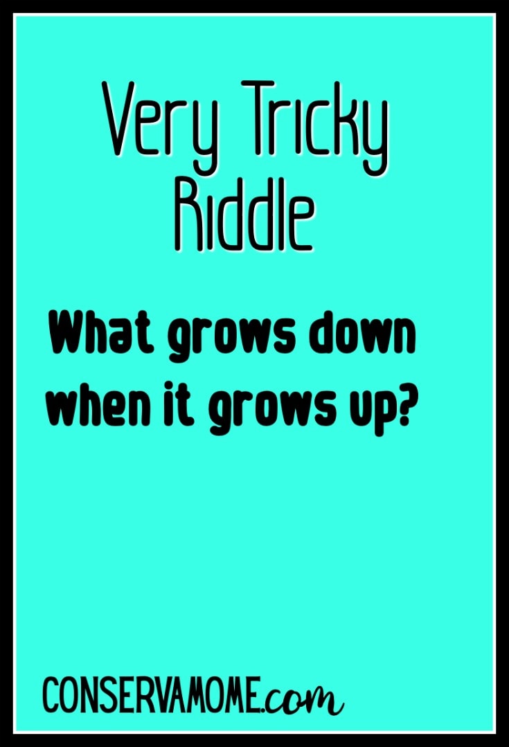 Fun Riddle can you guess?