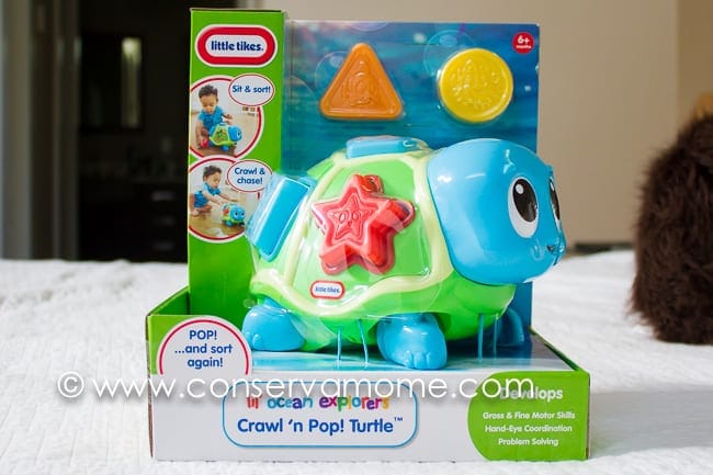 little tikes turtle toy