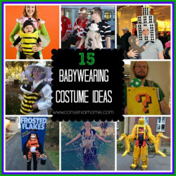 Baby Wearing Costume Ideas