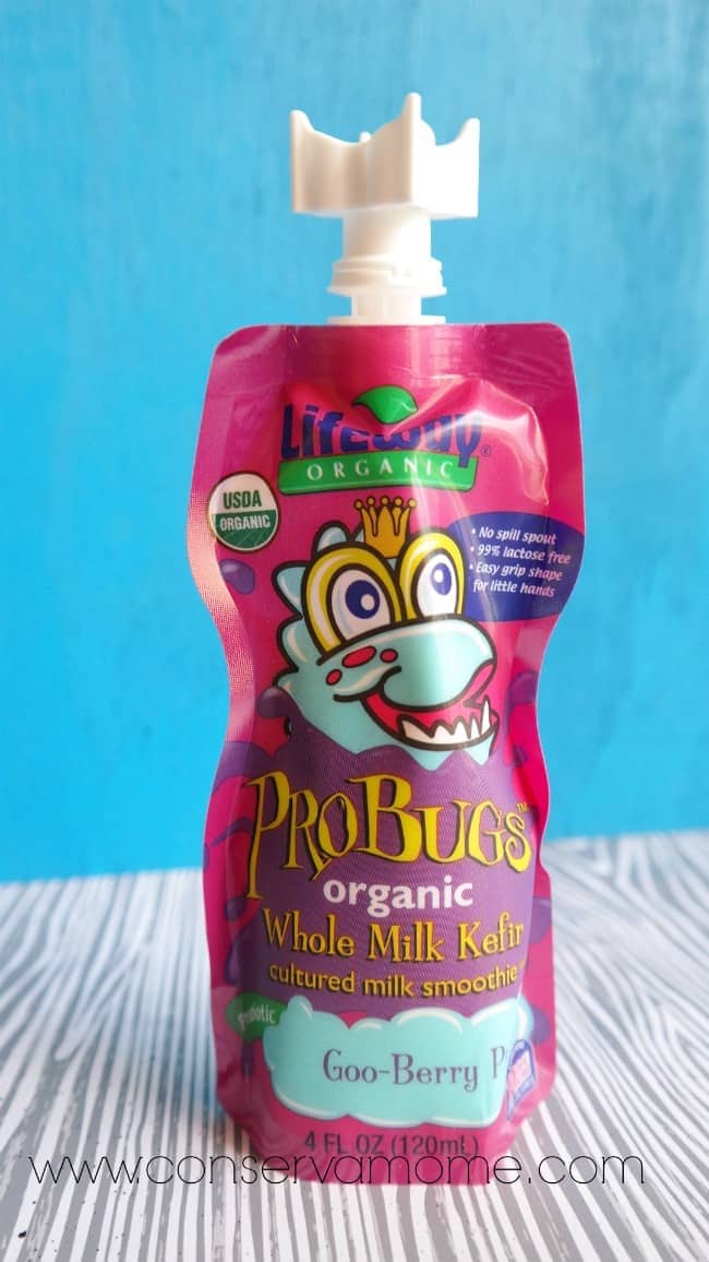 Probiotic Fun with Lifeway Organic ProBugs Kefir - ConservaMom