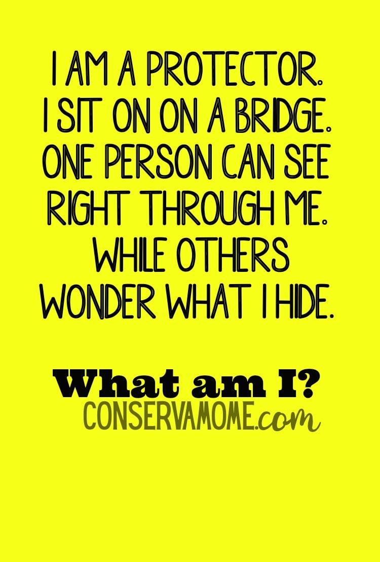 Looking for some a fun riddle of the day? Check this one out. I am a protector. I sit on on a bridge. One person can see right through me, while others wonder what I hide. What am I?