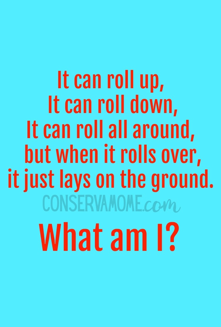 Here are some Tricky Brain Teaser To make you Think. Read on to see the answer to this one: It can roll up, it can roll down, it can roll all around, but when it rolls over, it just lays on the ground.