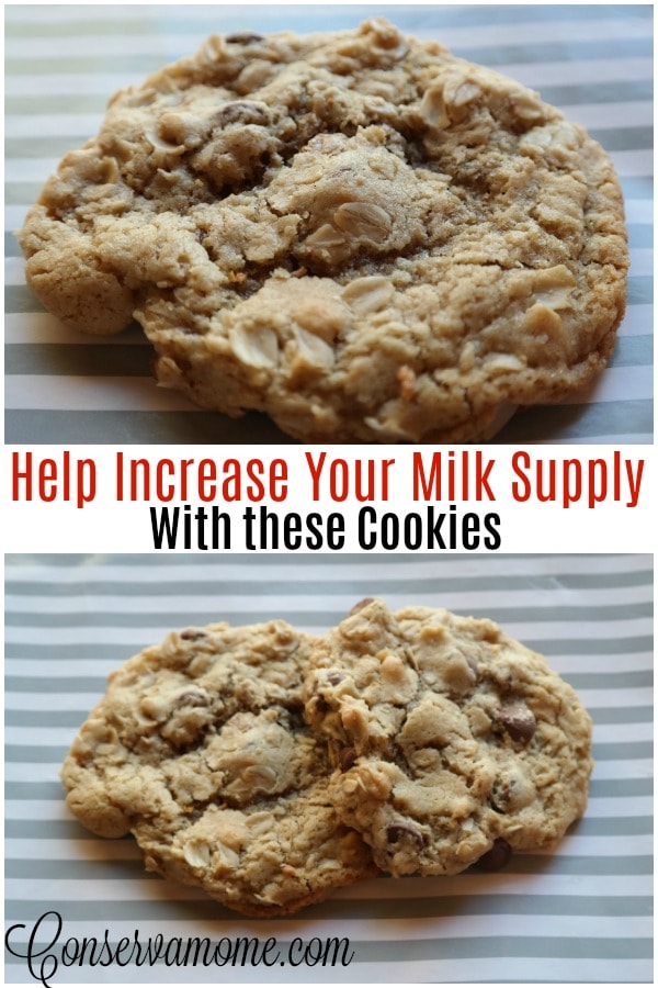 Easy Chocolate Chip Lactation cookies