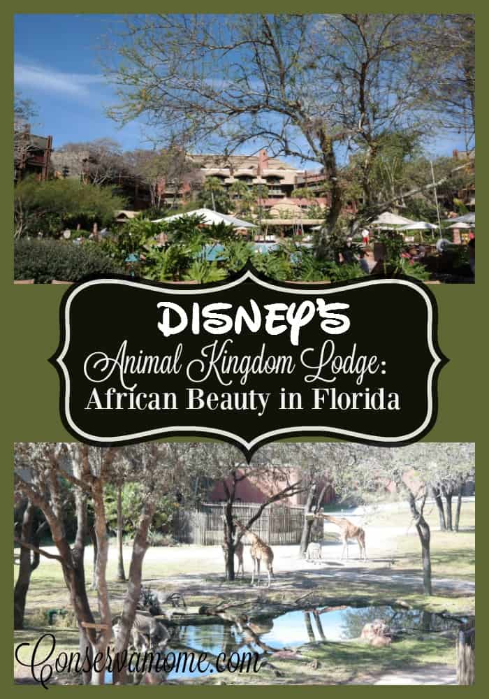 Animal Kingdom lodge