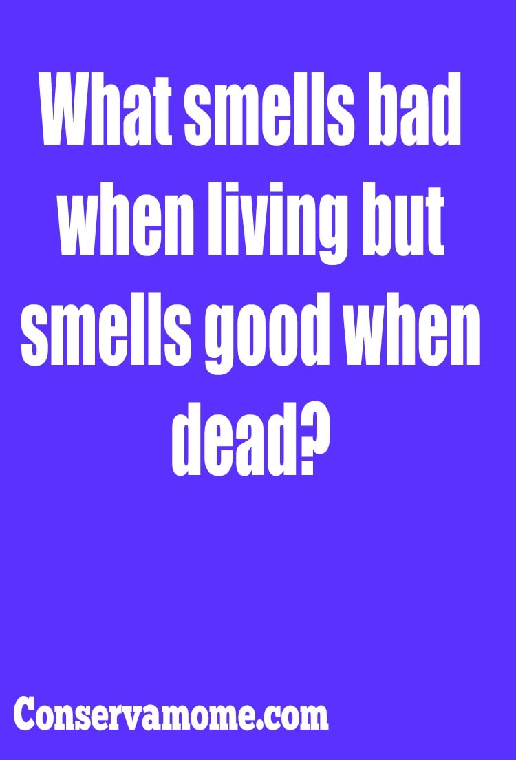 Conservamom Riddle Of The Day Some Tricky Riddles Conservamom