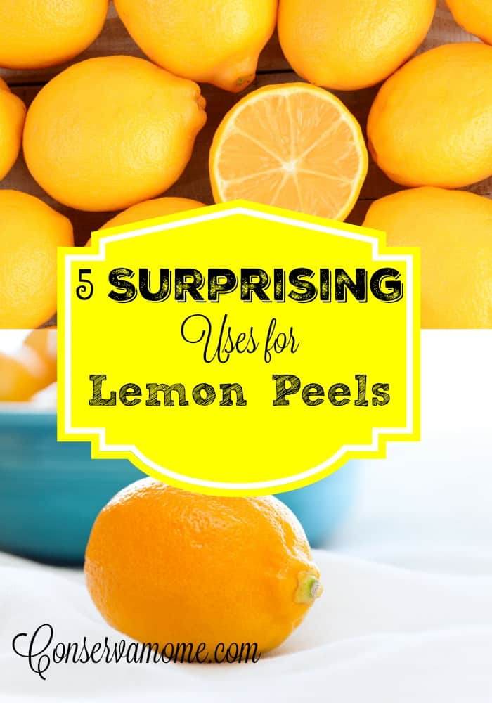 Lemons aren't just for Lemonade here are 5 Surprising Uses for Lemon Peels that are going to make life easier. 