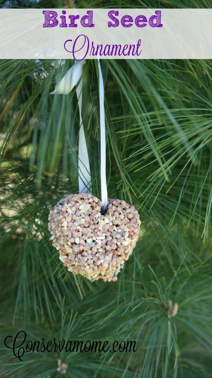 Bird Seed Ornament 