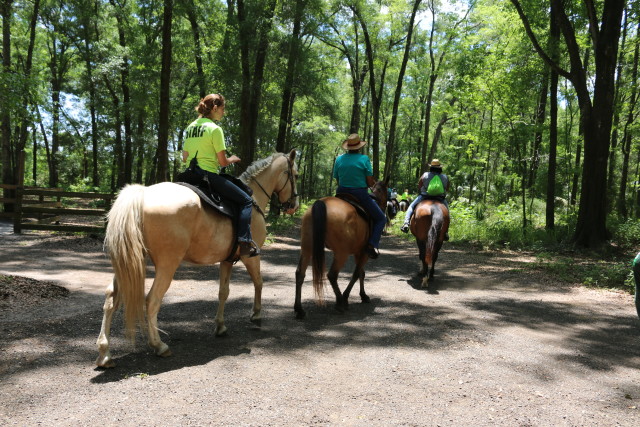 Horseback Riding (2)