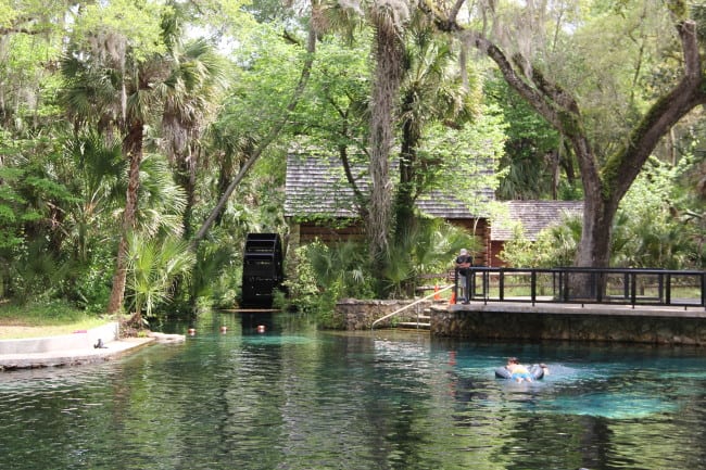 Juniper Springs