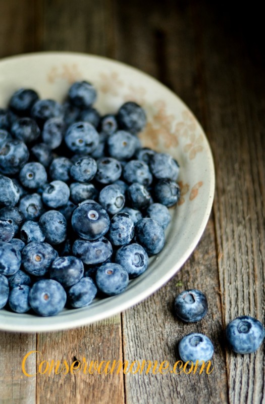 Easy & Delicious Whole Wheat Blueberry Donuts ConservaMom