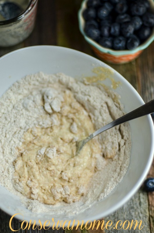 Easy & Delicious Whole Wheat Blueberry Donuts ConservaMom