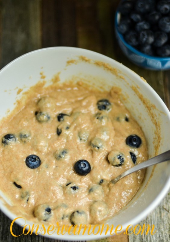 Easy & Delicious Whole Wheat Blueberry Donuts ConservaMom