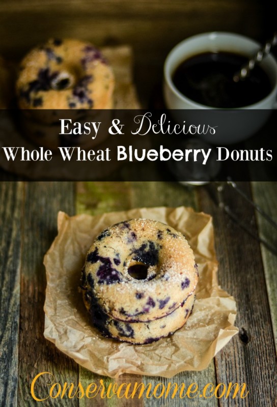 Easy & Delicious Whole Wheat Blueberry Donuts ConservaMom