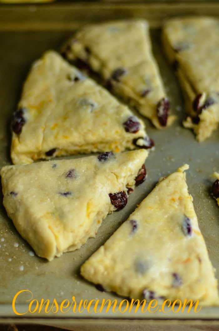 orange cranberry scones