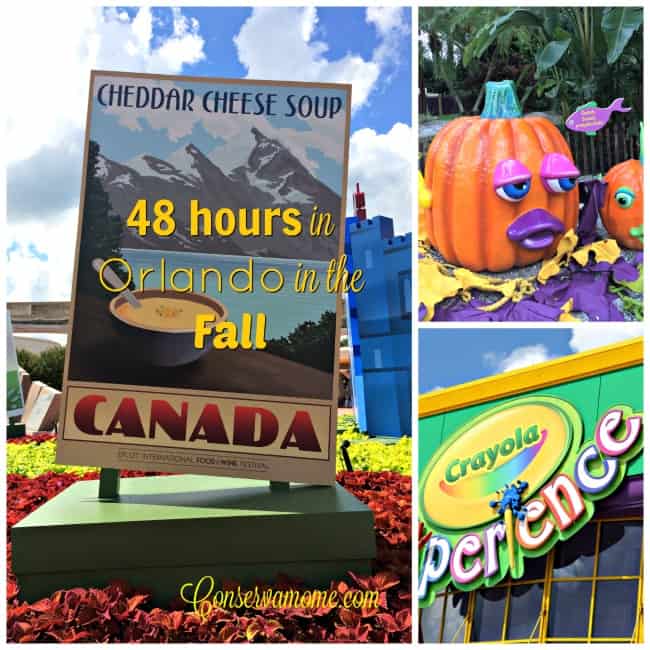 Find out all the great adventures you can have in 48 hours in Orlando in the Fall