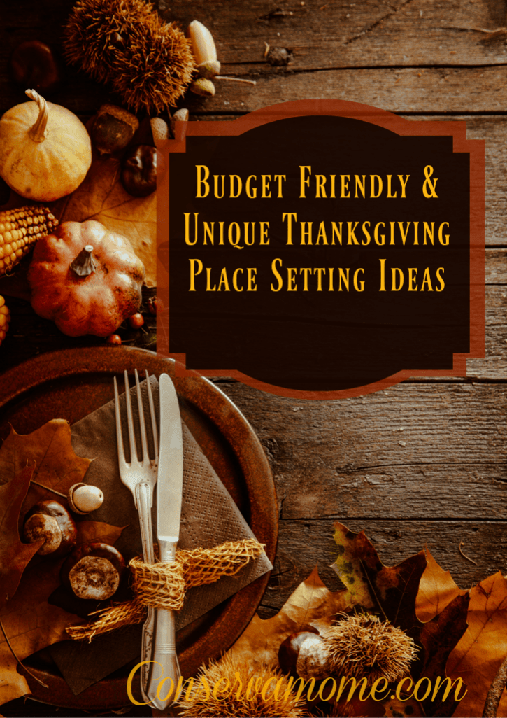 Looking for some fun Budget Friendly & Unique Thanksgiving Place setting ideas? Look no further!