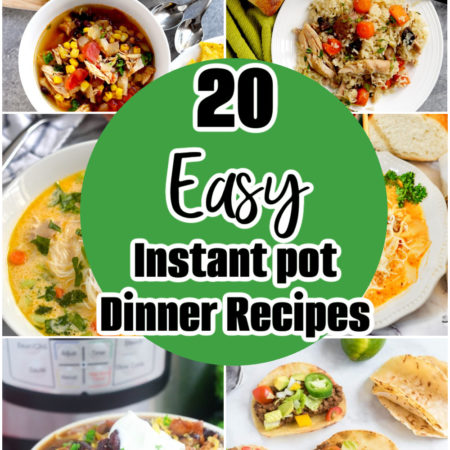 20 Easy Instant pot Dinner Recipes