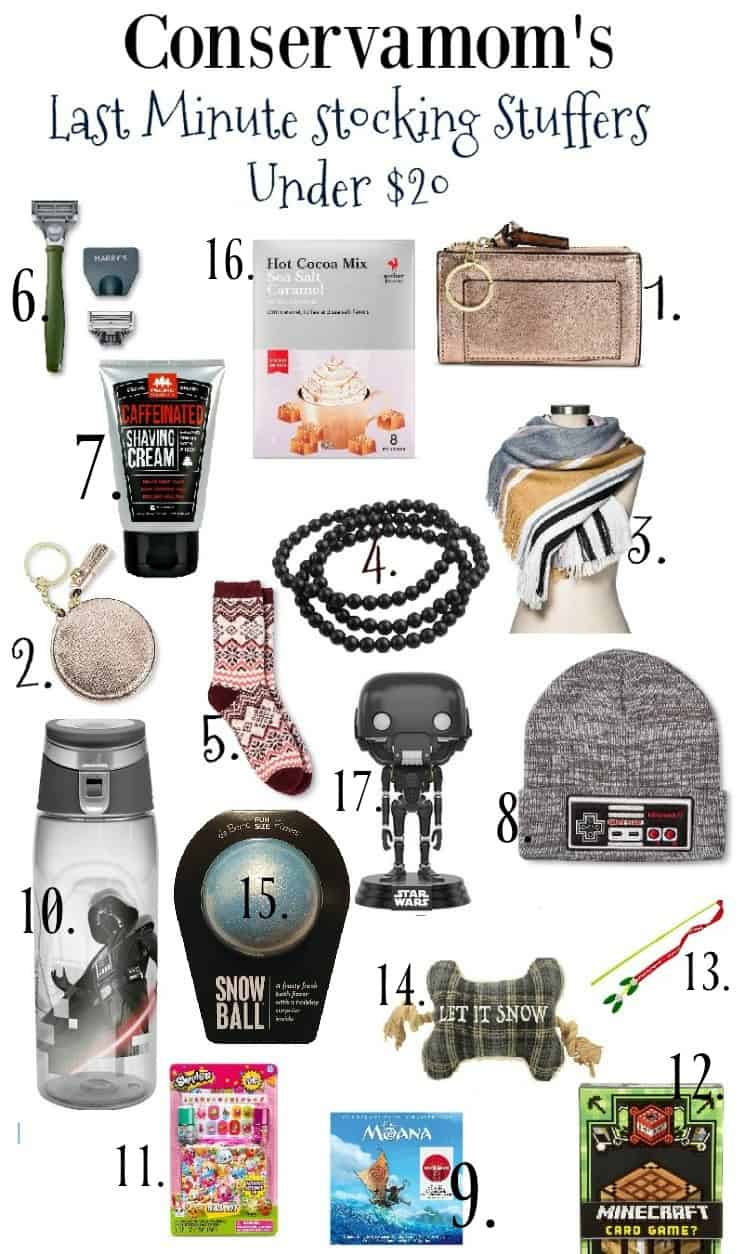 Last Minute Stocking Stuffers for Under $20