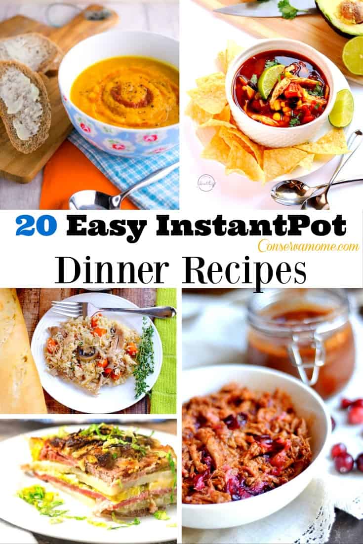 Instant pot dinner recipes