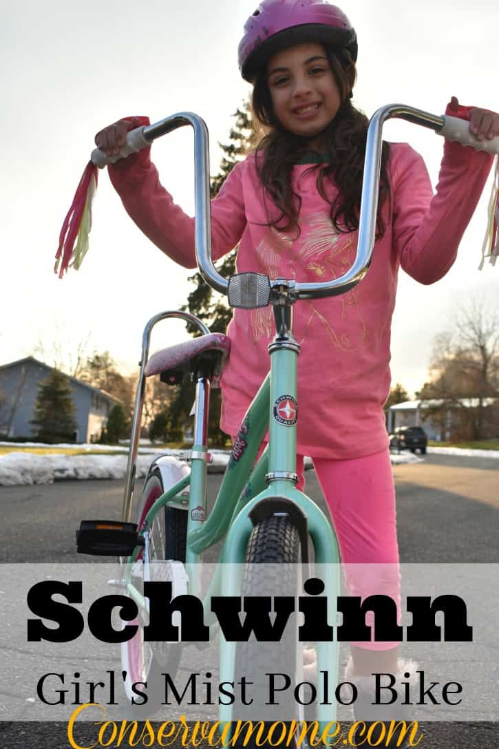 schwinn mist bike