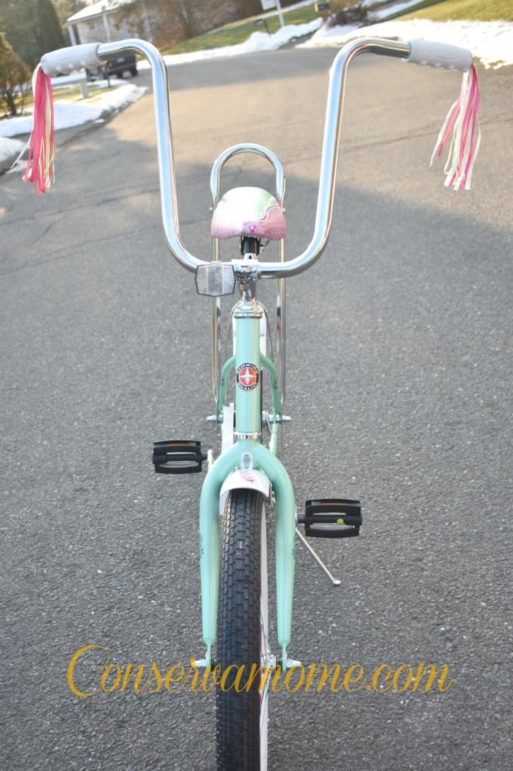 schwinn4