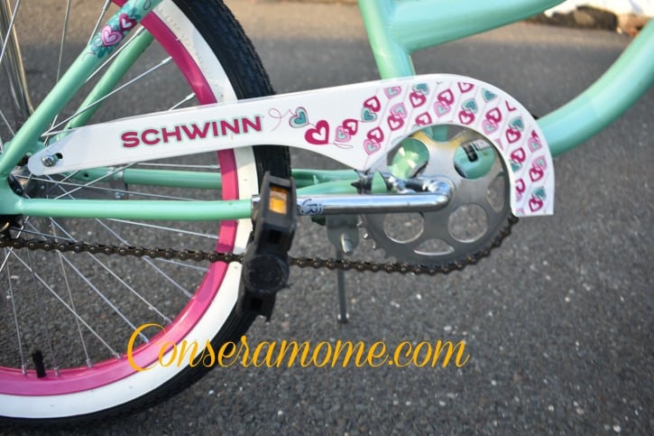 schwinn7