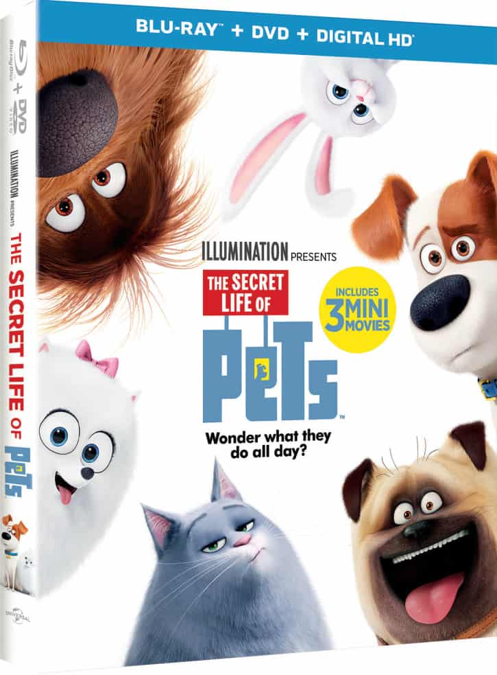 Secret Life Of Pets DVD Review + Giveaway - ConservaMom