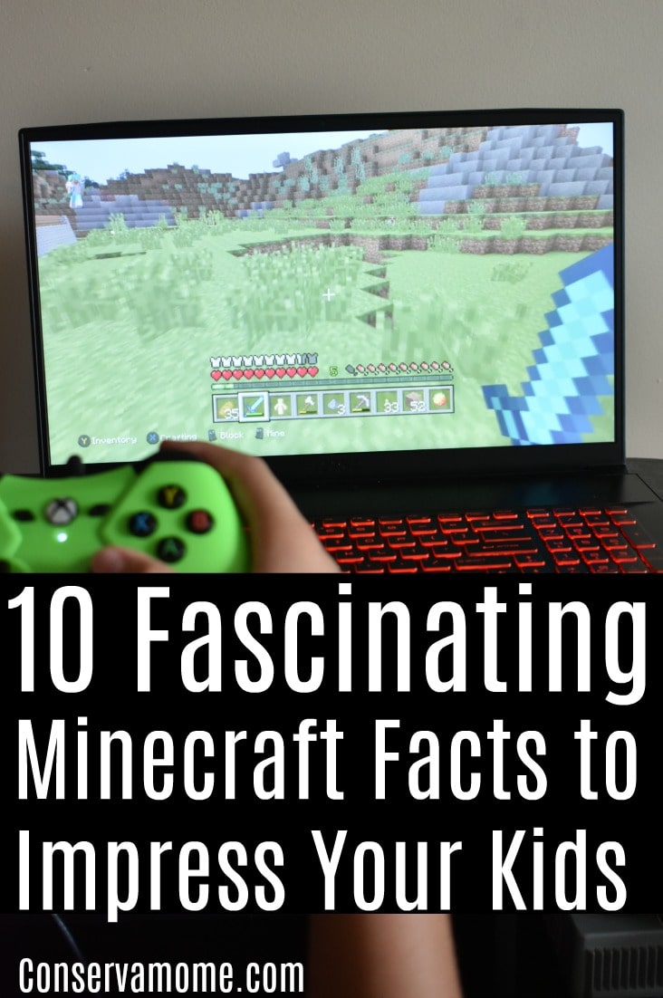 Fascinating Minecraft facts
