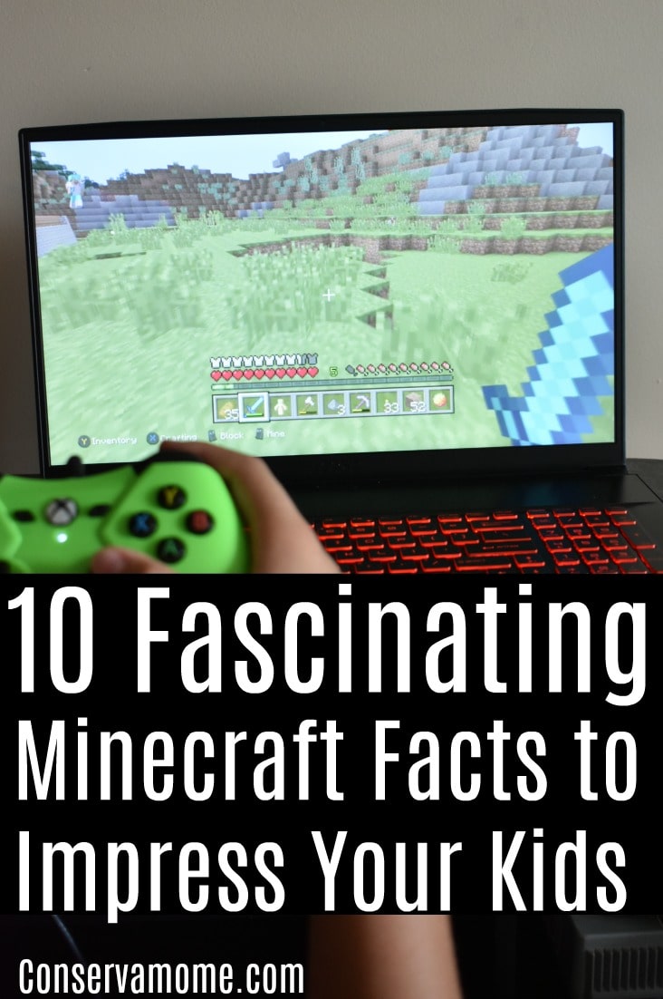 Top 10 Facts About Minecraft! - Fun Kids - the UK's children's radio station