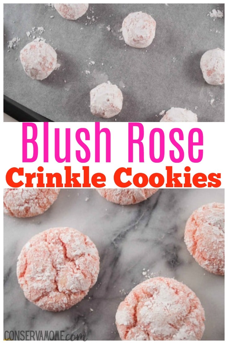 Crinkle Cookie Recipe
