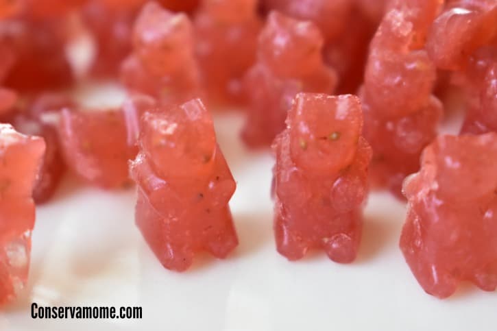 Here's a fun and easy Homemade Gummy Bears recipe you can make for your kids that only has 4 ingredients. Best of all they're delicious!
