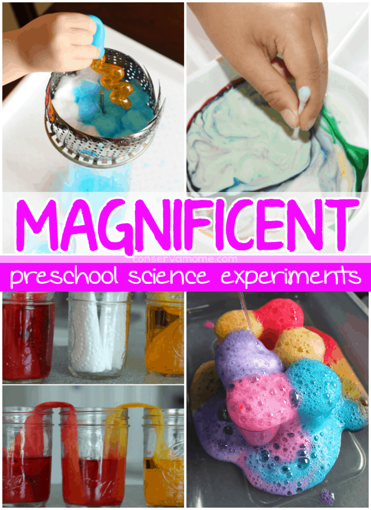 Magnificent Preschool Science Experiments - ConservaMom