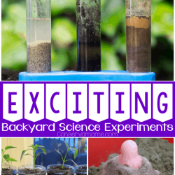 Backyard Science Experiments for kids
