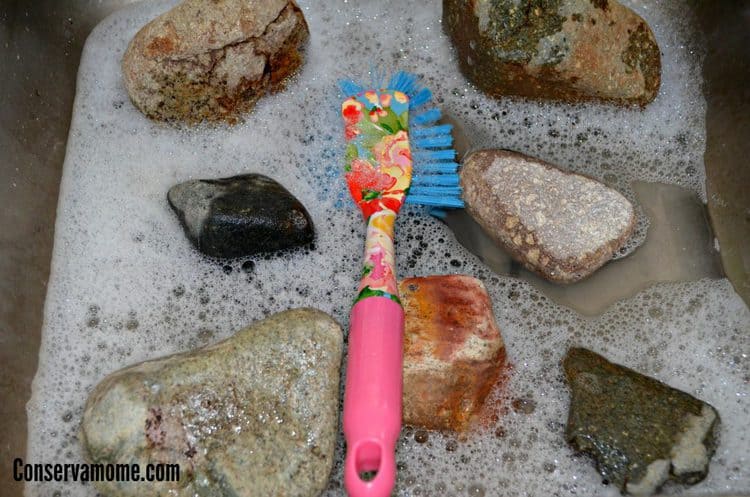 ConservaMom - DIY Garden Row Markers - ConservaMom