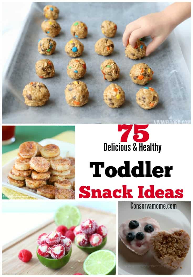 75 Delicious & Healthy Toddler Snack Ideas - ConservaMom