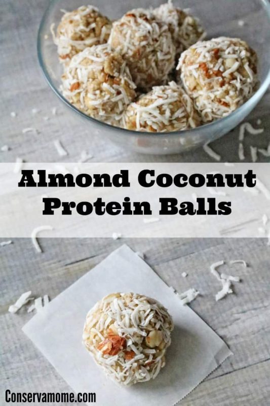 almond coconut protein bars