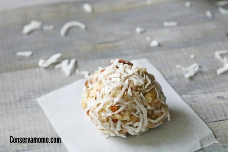 Almond Coconut Protein Balls