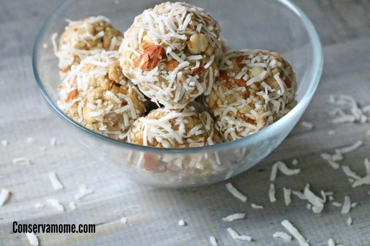 Almond Coconut Protein Balls