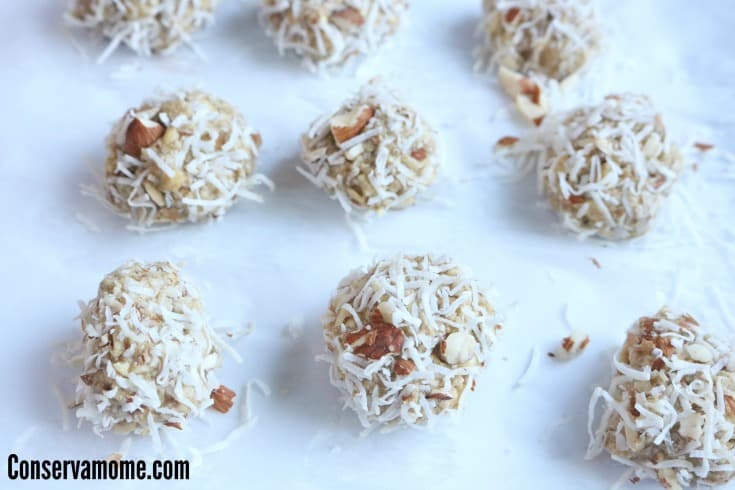 Almond Coconut Protein Balls