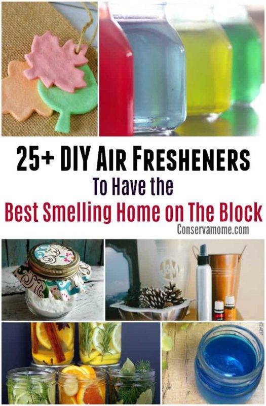 25 DIY Air Fresheners To Have the Best Smelling Home on The Block