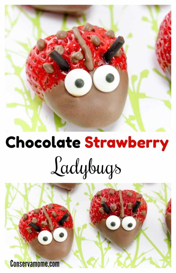 Here's a fun dessert idea that combines chocolate and strawberries into delicious Chocolate Strawberry Ladybugs.